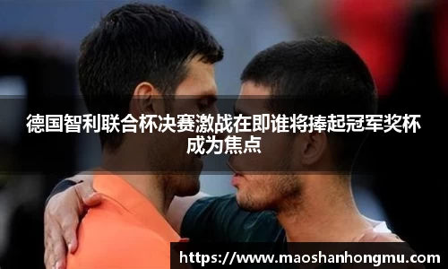 德国智利联合杯决赛激战在即谁将捧起冠军奖杯成为焦点