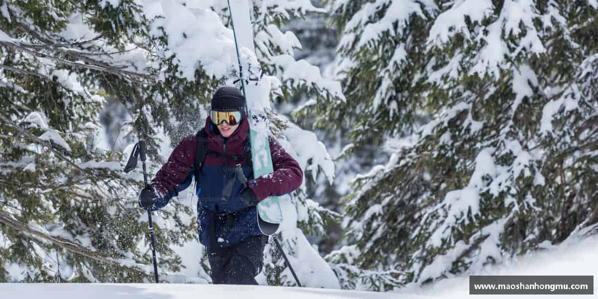 解读完美体育官方网站